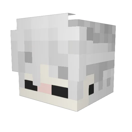 koltzen Minecraft avatar head, 3D render