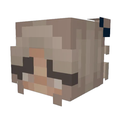 komtgoedX Minecraft avatar head, 3D render