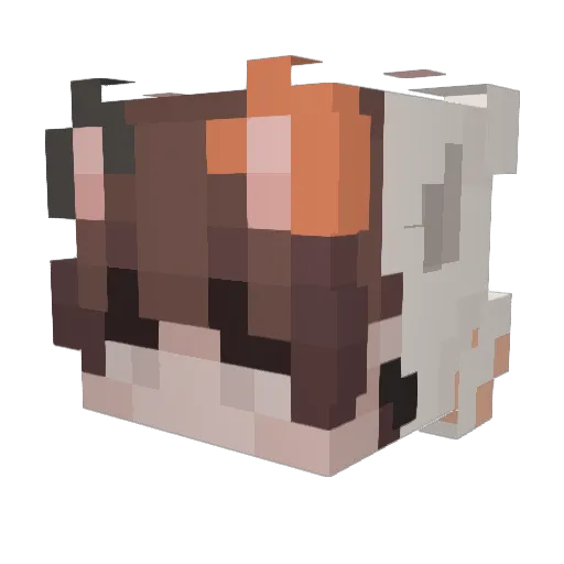 kondziorekkk Minecraft avatar head, 3D render