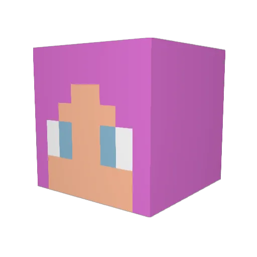 koneko309 Minecraft avatar head, 3D render
