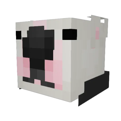 koner_exe Minecraft avatar head, 3D render