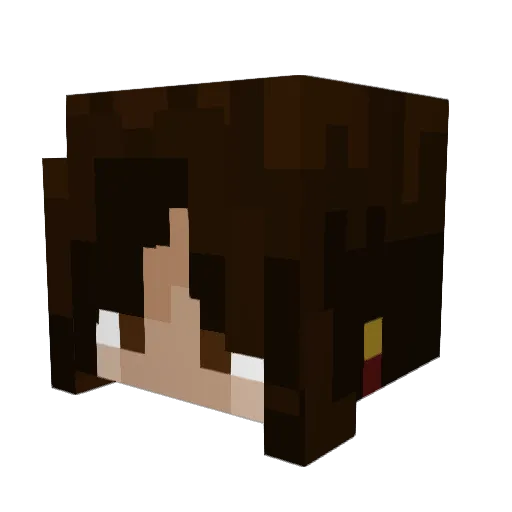 kongoballs Minecraft avatar head, 3D render