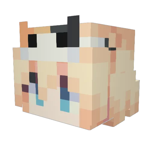 kongxu88 Minecraft avatar head, 3D render