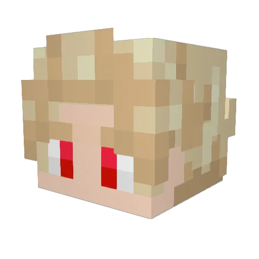 kookaburra07 Minecraft avatar head, 3D render