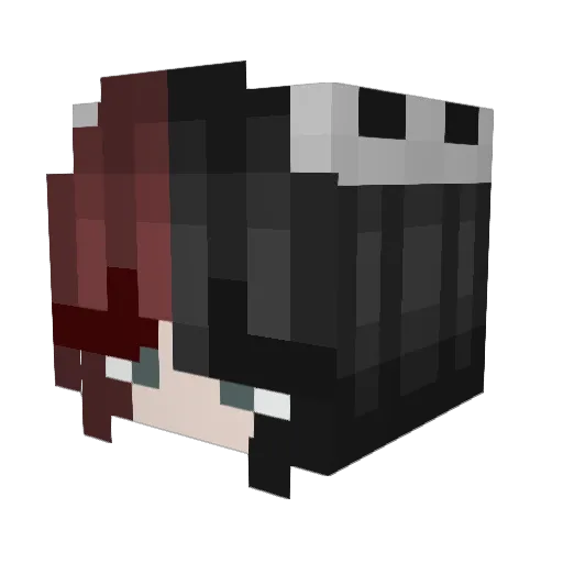 kookiekenobi Minecraft avatar head, 3D render