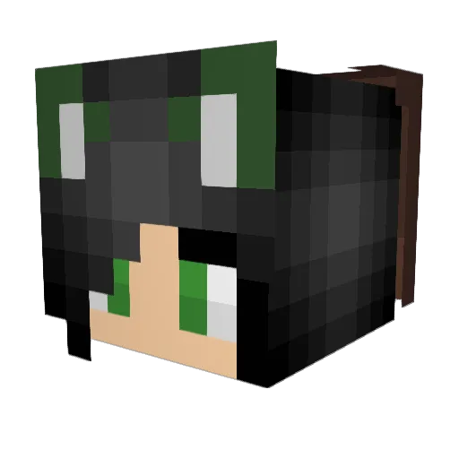 kooky_catz Minecraft avatar head, 3D render