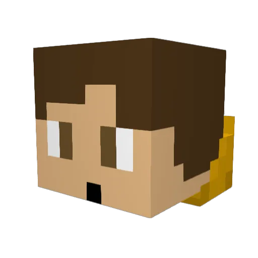 kookz1 Minecraft avatar head, 3D render