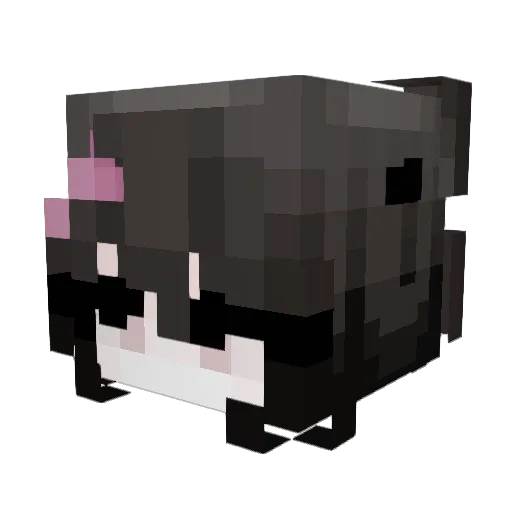 kool_aid777 Minecraft avatar head, 3D render