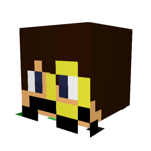 kool_aid_mans Minecraft avatar head, 3D render