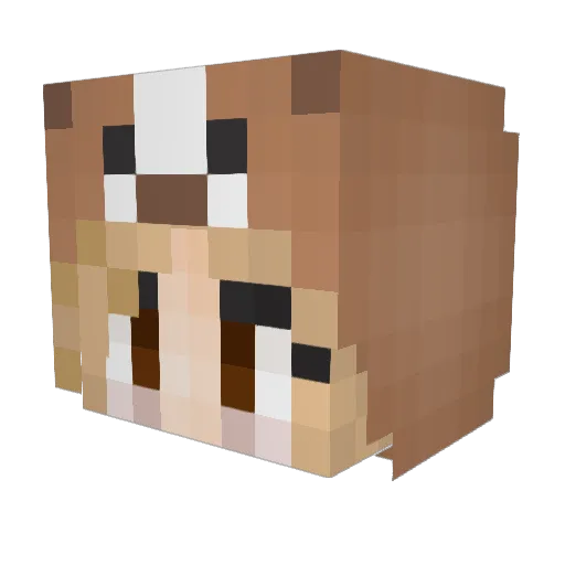 kool_lampshades Minecraft avatar head, 3D render