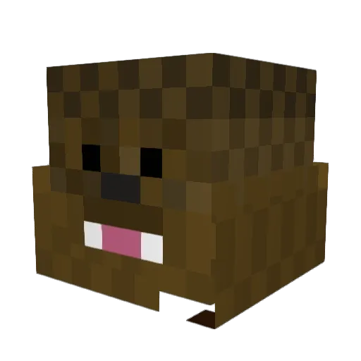 koolaidking17 Minecraft avatar head, 3D render
