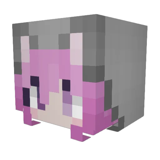 koolaidlover Minecraft avatar head, 3D render