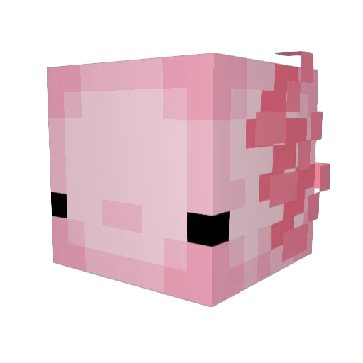 koolblue42 Minecraft avatar head, 3D render