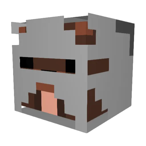 koolbros123 Minecraft avatar head, 3D render