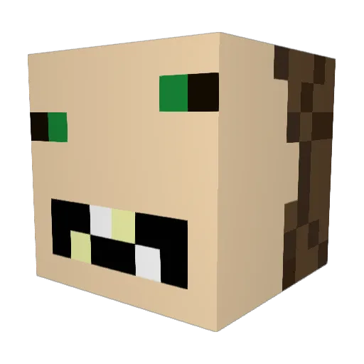 koolkace123 Minecraft avatar head, 3D render