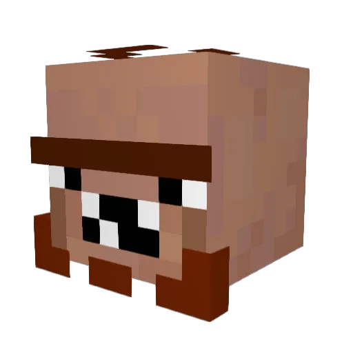 koolkat6536 Minecraft avatar head, 3D render