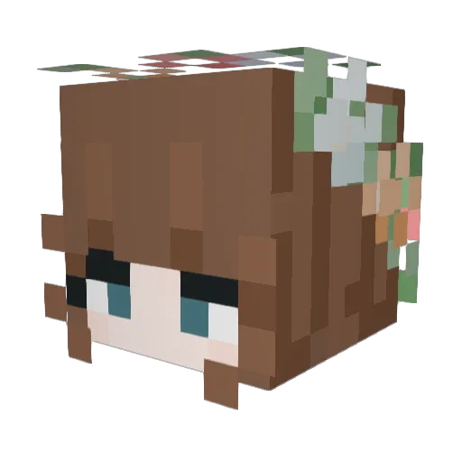 koolkatiekat2 Minecraft avatar head, 3D render