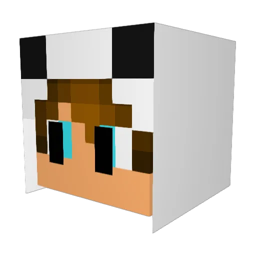 koomori1 Minecraft avatar head, 3D render