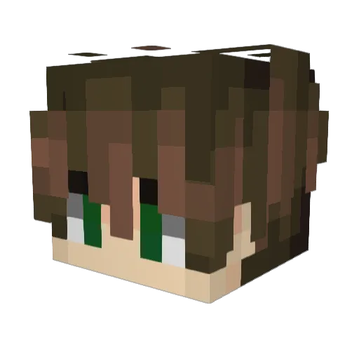 kooookos Minecraft avatar head, 3D render