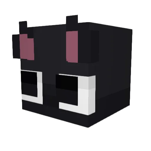 koooom1 Minecraft avatar head, 3D render