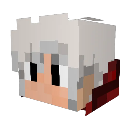 kooper2911 Minecraft avatar head, 3D render