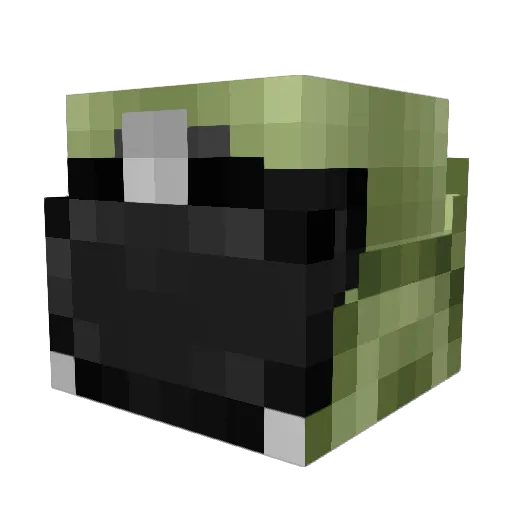 koopstar328 Minecraft avatar head, 3D render