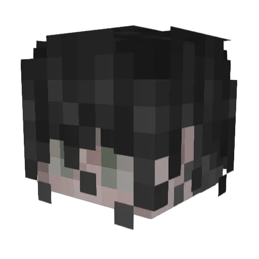 kooraax Minecraft avatar head, 3D render