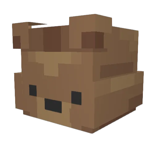 kooy1436 Minecraft avatar head, 3D render