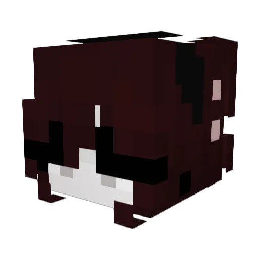 kooyun Minecraft avatar head, 3D render