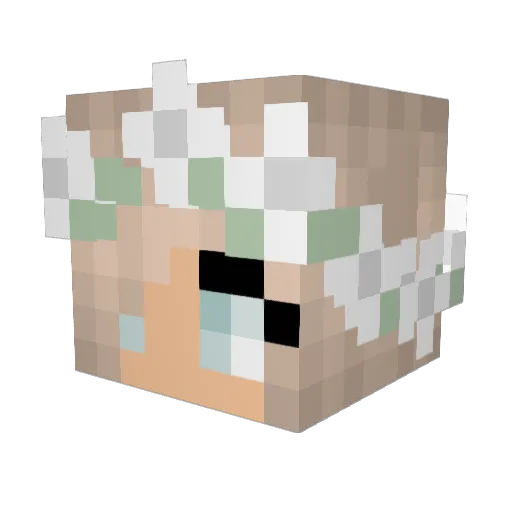 kopagirl Minecraft avatar head, 3D render