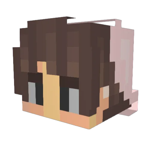 kopisusu Minecraft avatar head, 3D render