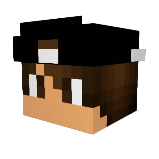 koppen69 Minecraft avatar head, 3D render