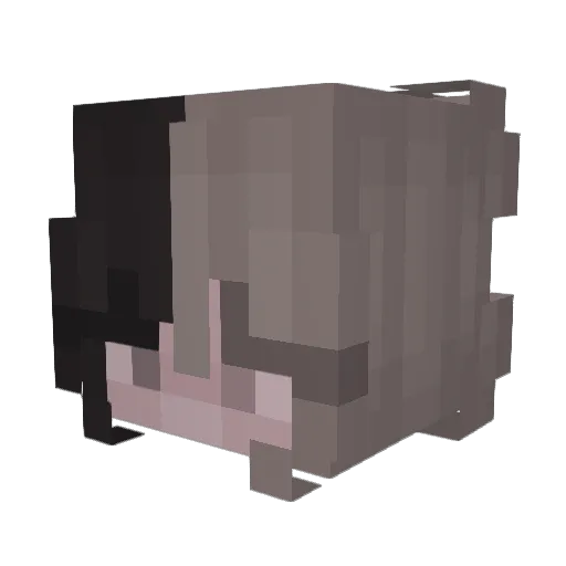 koppijn Minecraft avatar head, 3D render