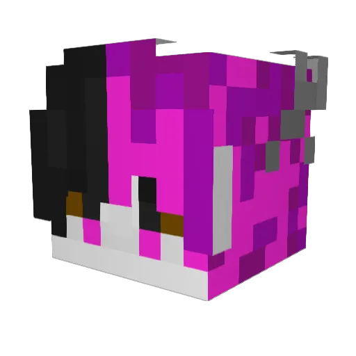kopta_ Minecraft avatar head, 3D render