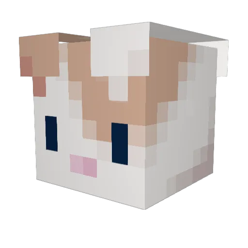 korbosnapped Minecraft avatar head, 3D render