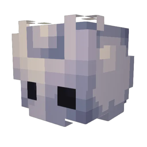 koroto635 Minecraft avatar head, 3D render