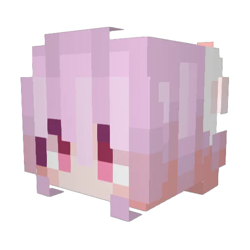 kosamo Minecraft avatar head, 3D render