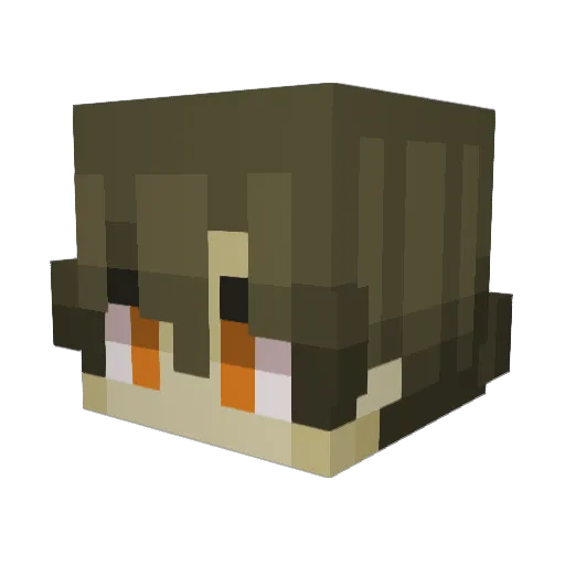 kot_abarmot13 Minecraft avatar head, 3D render