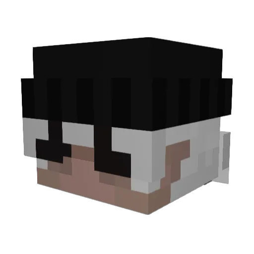 kota2wet Minecraft avatar head, 3D render