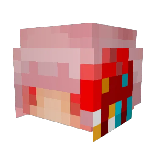 kotahi_ Minecraft avatar head, 3D render