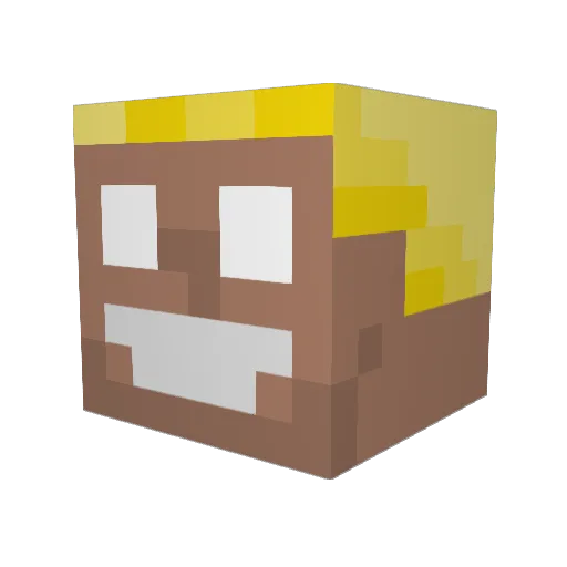 kotam Minecraft avatar head, 3D render