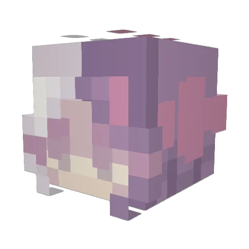 koteczkowski Minecraft avatar head, 3D render