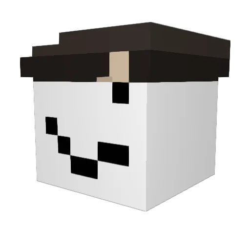 kotenok228 Minecraft avatar head, 3D render