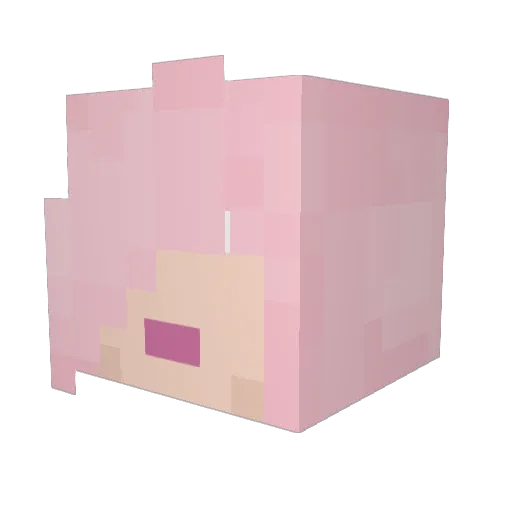 kotle Minecraft avatar head, 3D render
