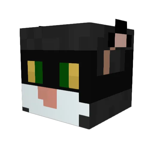 koto_O Minecraft avatar head, 3D render