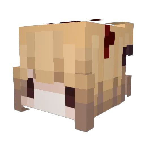 kotoneski Minecraft avatar head, 3D render