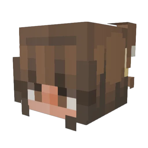 kottenman Minecraft avatar head, 3D render
