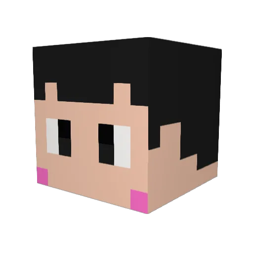 kou1553 Minecraft avatar head, 3D render
