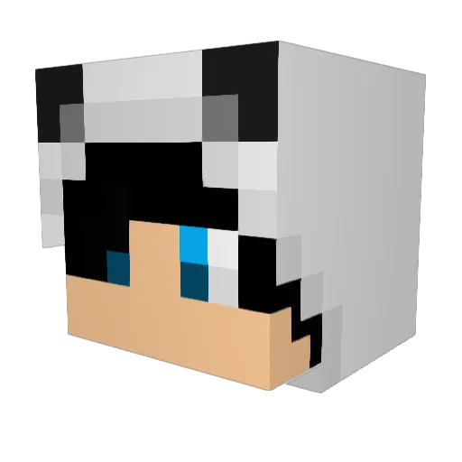 koubo123 Minecraft avatar head, 3D render