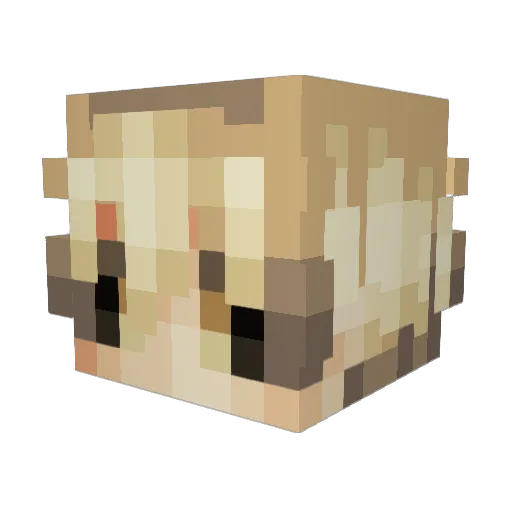 kouisz Minecraft avatar head, 3D render